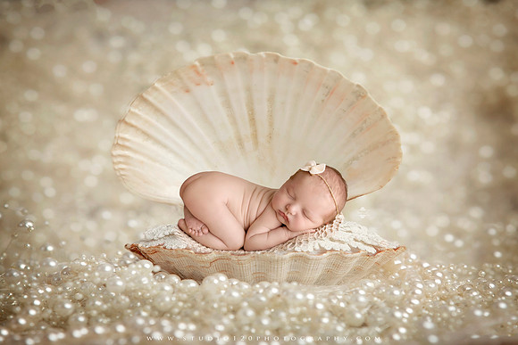 SOTP0016 seashell pearl