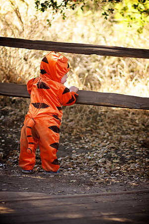 Levi 8 Month Halloween 014