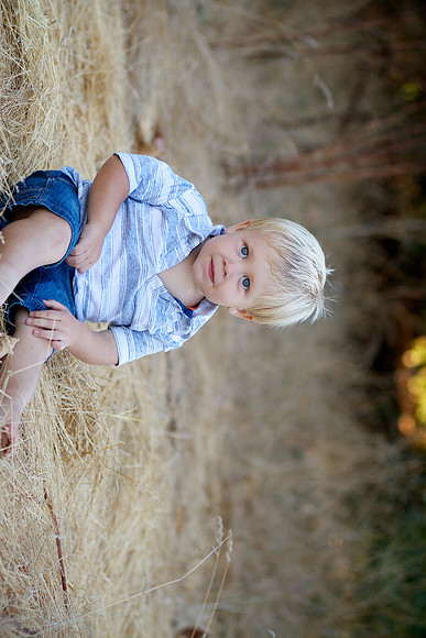 Levi 18 Months 008