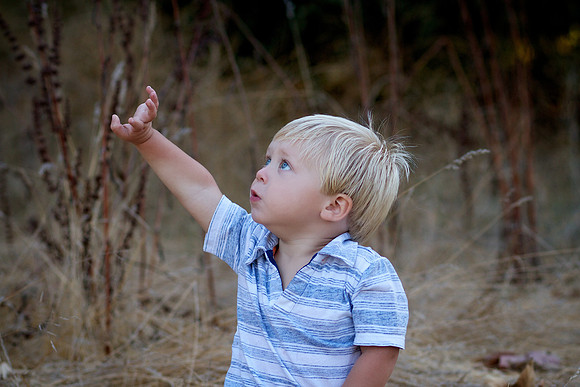 Levi 18 Months 015