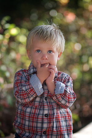 Levi 18 Months 026