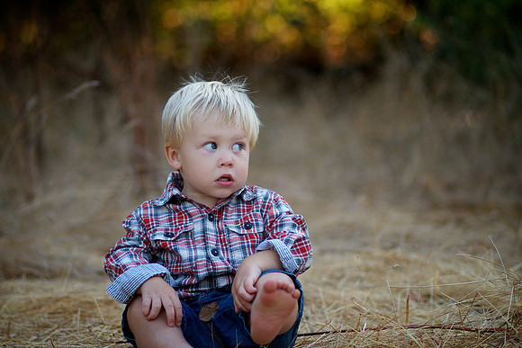Levi 18 Months 027
