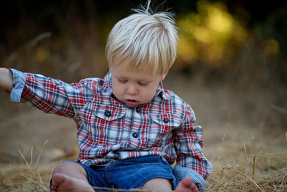 Levi 18 Months 029