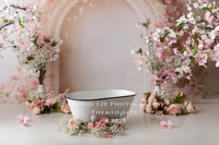 SOTP9146