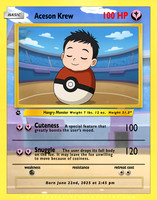 SOTP1145 copy aceson card