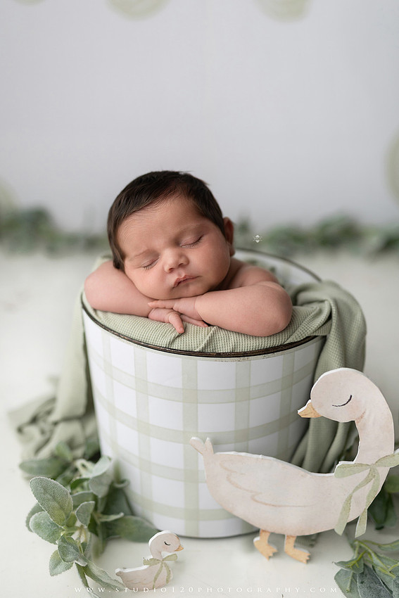 “Studio 120 Photography newborn session featuring timeless poses, cozy knits, and a custom goose theme inspired by the baby shower announcement.”