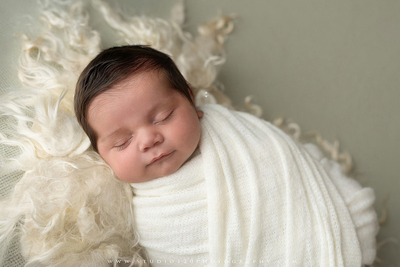“Studio 120 Photography newborn session featuring timeless poses, cozy knits, and a custom goose theme inspired by the baby shower announcement.”