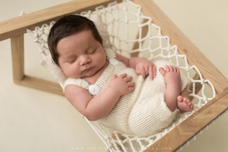 “Studio 120 Photography newborn session featuring timeless poses, cozy knits, and a custom goose theme inspired by the baby shower announcement.”