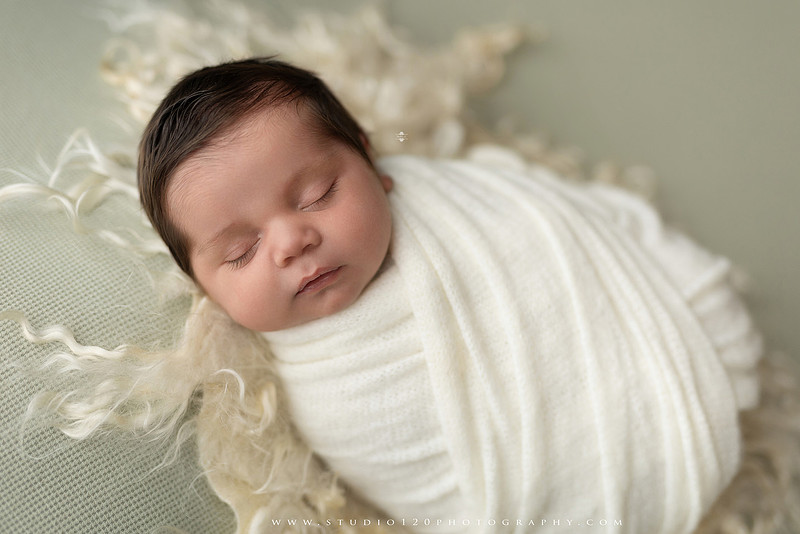 “Studio 120 Photography newborn session featuring timeless poses, cozy knits, and a custom goose theme inspired by the baby shower announcement.”