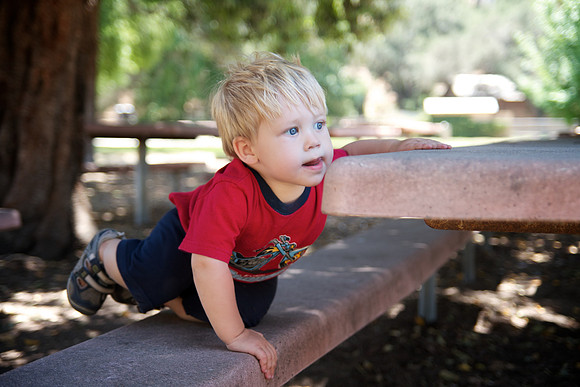 Levi 16 Month 010