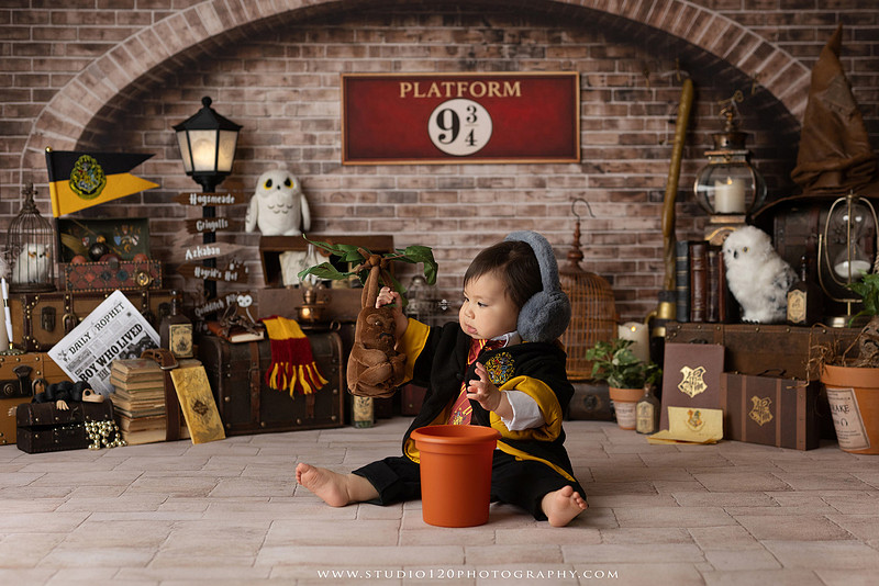 “Harry Potter cake smash first birthday session in Ramona California”
“Wizard themed cake smash photography for baby boy”
“Harry Potter milestone portraits at Studio 120 Photography”
“First birthday cake smash with Harry Potter theme”
