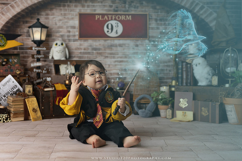 “Harry Potter cake smash first birthday session in Ramona California”
“Wizard themed cake smash photography for baby boy”
“Harry Potter milestone portraits at Studio 120 Photography”
“First birthday cake smash with Harry Potter theme”