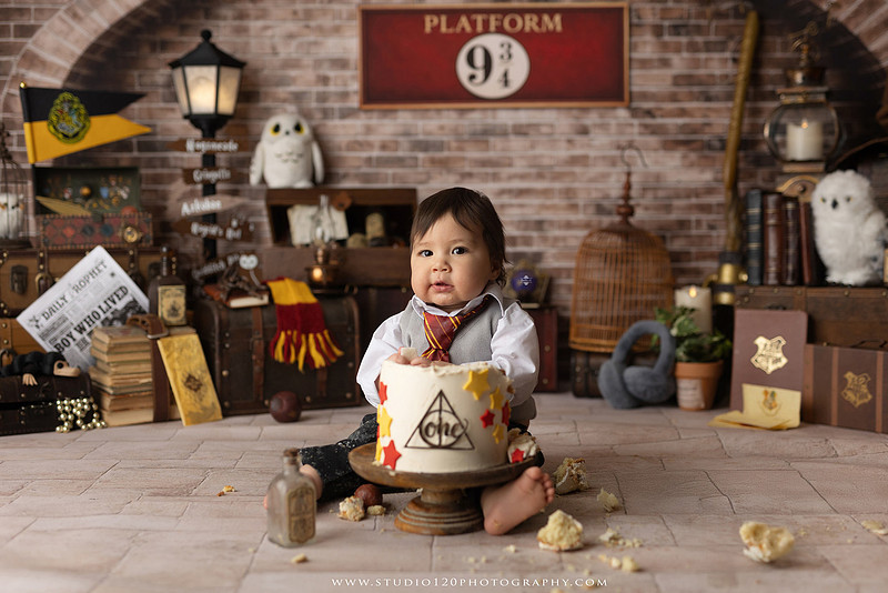 “Harry Potter cake smash first birthday session in Ramona California”
“Wizard themed cake smash photography for baby boy”
“Harry Potter milestone portraits at Studio 120 Photography”
“First birthday cake smash with Harry Potter theme”