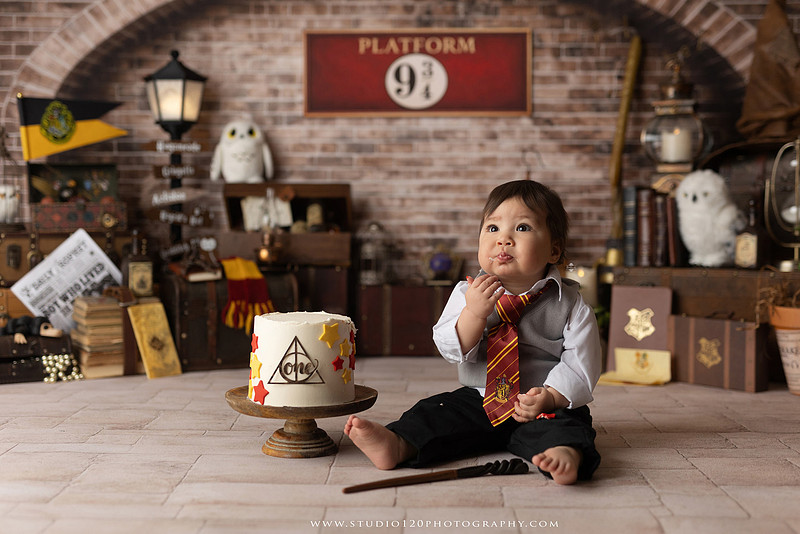“Harry Potter cake smash first birthday session in Ramona California”
“Wizard themed cake smash photography for baby boy”
“Harry Potter milestone portraits at Studio 120 Photography”
“First birthday cake smash with Harry Potter theme”
