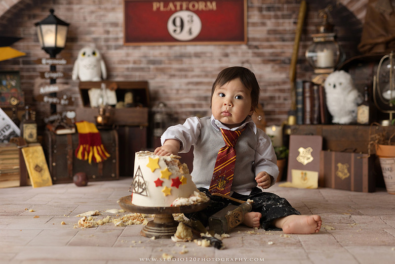 “Harry Potter cake smash first birthday session in Ramona California”
“Wizard themed cake smash photography for baby boy”
“Harry Potter milestone portraits at Studio 120 Photography”
“First birthday cake smash with Harry Potter theme”