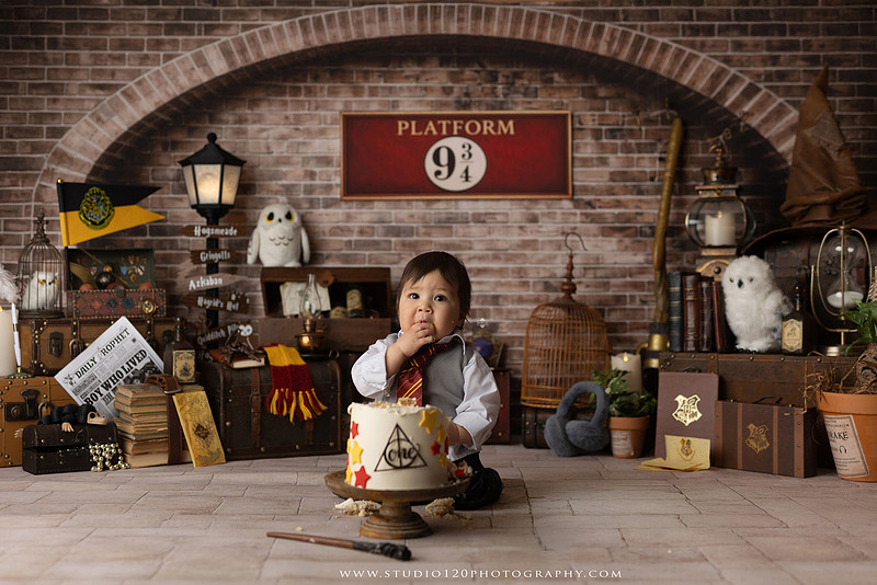 “Harry Potter cake smash first birthday session in Ramona California”
“Wizard themed cake smash photography for baby boy”
“Harry Potter milestone portraits at Studio 120 Photography”
“First birthday cake smash with Harry Potter theme”