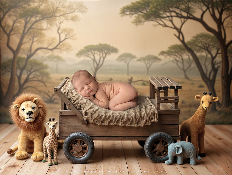 Custom newborn photography session in Ramona, California featuring a baby posed in cozy neutral tones with safari-inspired scenes, teddy bears, and a playful business suit setup, created using studio styling and digital backdrops by a San Diego newborn photographer.