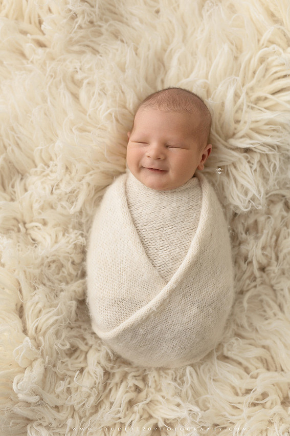 Custom newborn photography session in Ramona, California featuring a baby posed in cozy neutral tones with safari-inspired scenes, teddy bears, and a playful business suit setup, created using studio styling and digital backdrops by a San Diego newborn photographer.