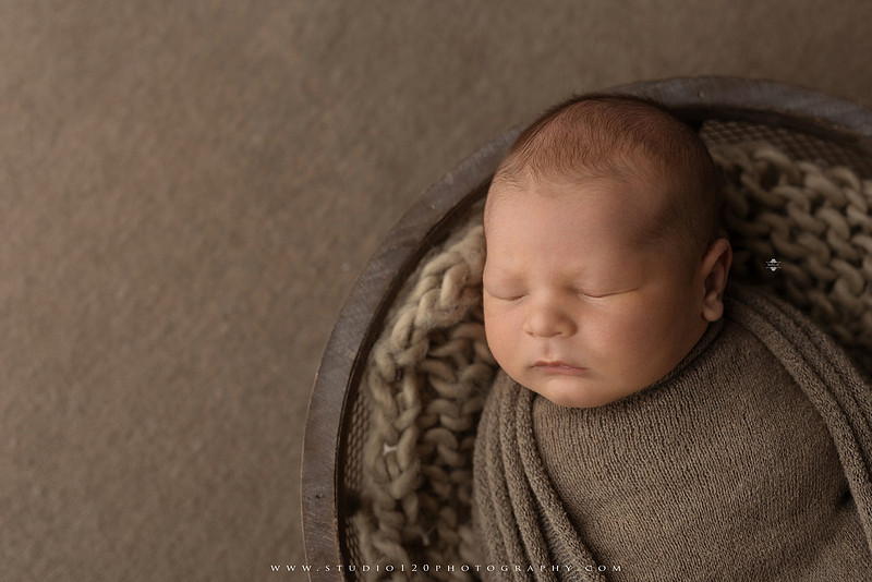Custom newborn photography session in Ramona, California featuring a baby posed in cozy neutral tones with safari-inspired scenes, teddy bears, and a playful business suit setup, created using studio styling and digital backdrops by a San Diego newborn photographer.