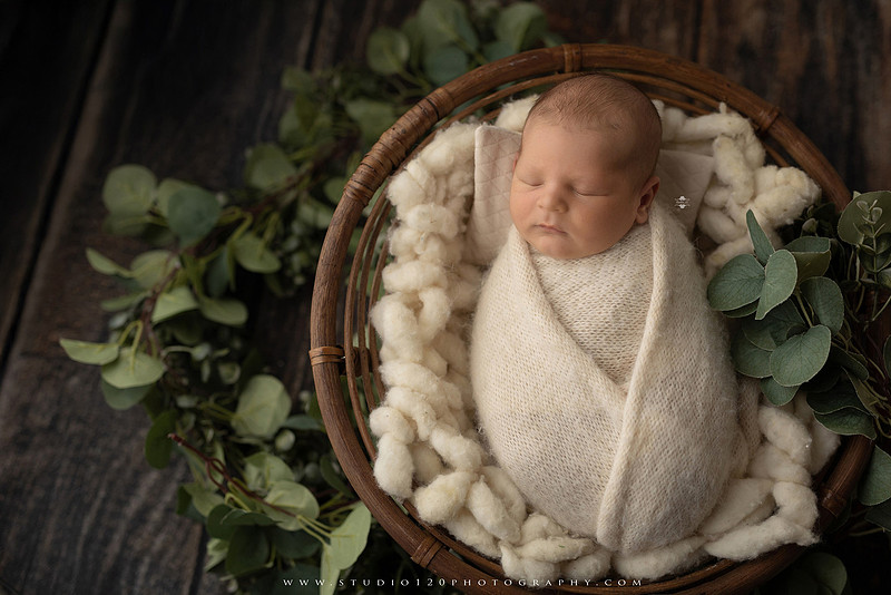 Custom newborn photography session in Ramona, California featuring a baby posed in cozy neutral tones with safari-inspired scenes, teddy bears, and a playful business suit setup, created using studio styling and digital backdrops by a San Diego newborn photographer.
