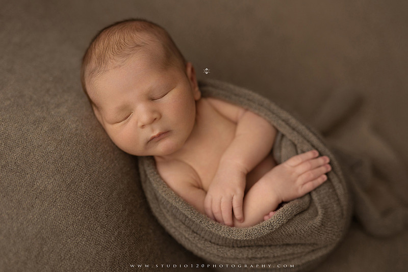 Custom newborn photography session in Ramona, California featuring a baby posed in cozy neutral tones with safari-inspired scenes, teddy bears, and a playful business suit setup, created using studio styling and digital backdrops by a San Diego newborn photographer.