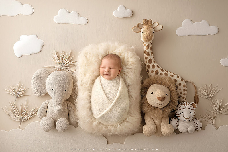 Custom newborn photography session in Ramona, California featuring a baby posed in cozy neutral tones with safari-inspired scenes, teddy bears, and a playful business suit setup, created using studio styling and digital backdrops by a San Diego newborn photographer.