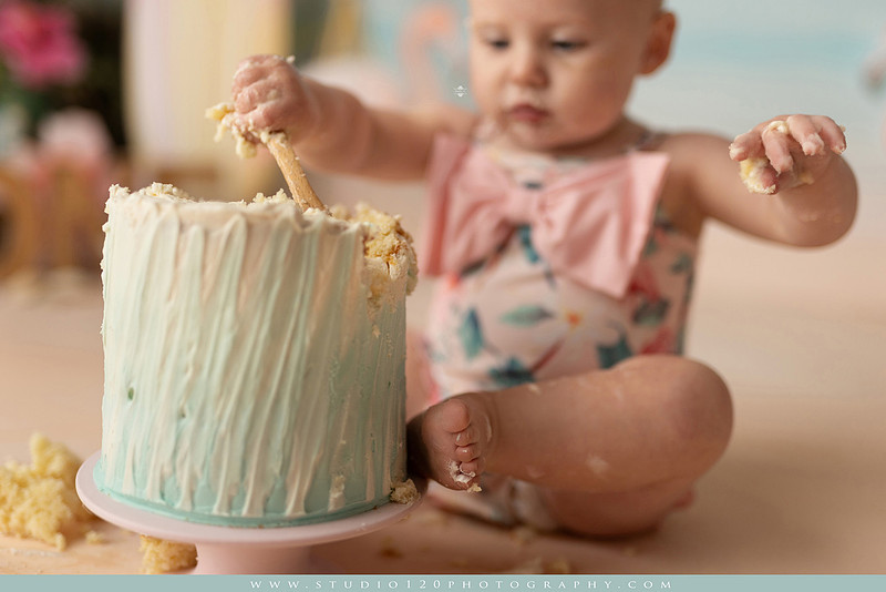 “first birthday portrait of baby in white dress with floral accents in light and airy studio”
“elegant first birthday portrait session with baby in white dress and neutral backdrop”
“luxe coastal cake smash with beach themed backdrop, flamingos and tropical decor”
“baby girl beach themed cake smash with pastel cake and tropical surfboard props”
“coastal first birthday cake smash with flamingo accents and soft beach colors”
“tropical cake smash photography featuring baby and pastel beach themed set”
“baby enjoying cake smash in coastal themed studio with palm trees and flamingos”
“beach inspired cake smash session with baby standing in cake and tropical decor”
“luxury cake smash photography with coastal beach theme and soft pastel tones”