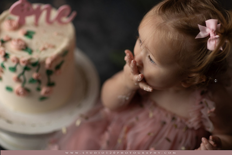 SOTP5449 copyEnchanted woodland fairy cake smash and first birthday milestone portraits at Studio 120 Photography serving Ramona and San Diego, California.