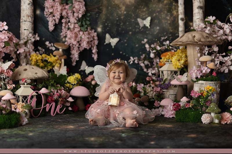 SOTP5449 copyEnchanted woodland fairy cake smash and first birthday milestone portraits at Studio 120 Photography serving Ramona and San Diego, California.