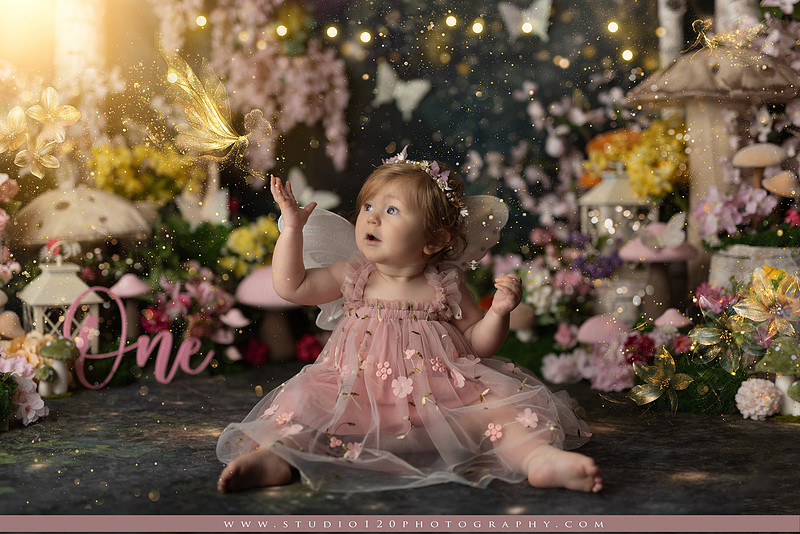 SOTP5449 copyEnchanted woodland fairy cake smash and first birthday milestone portraits at Studio 120 Photography serving Ramona and San Diego, California.
