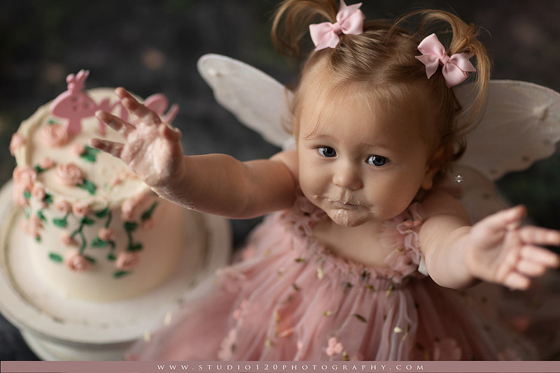 SOTP5449 copyEnchanted woodland fairy cake smash and first birthday milestone portraits at Studio 120 Photography serving Ramona and San Diego, California.