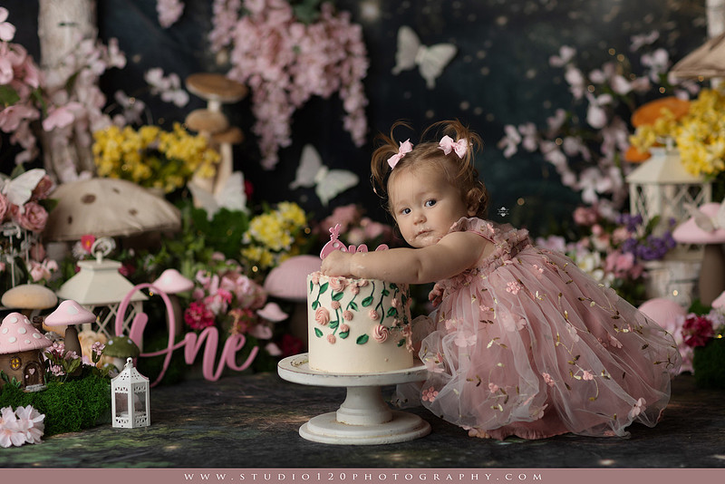 SOTP5449 copyEnchanted woodland fairy cake smash and first birthday milestone portraits at Studio 120 Photography serving Ramona and San Diego, California.