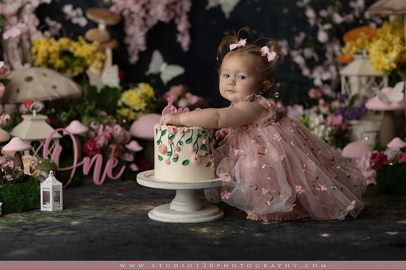 SOTP5449 copyEnchanted woodland fairy cake smash and first birthday milestone portraits at Studio 120 Photography serving Ramona and San Diego, California.