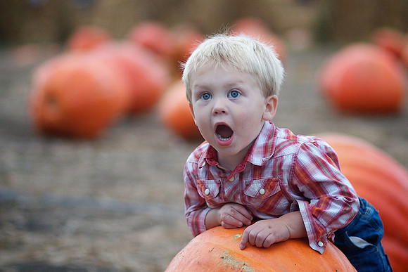 Faces of Levi