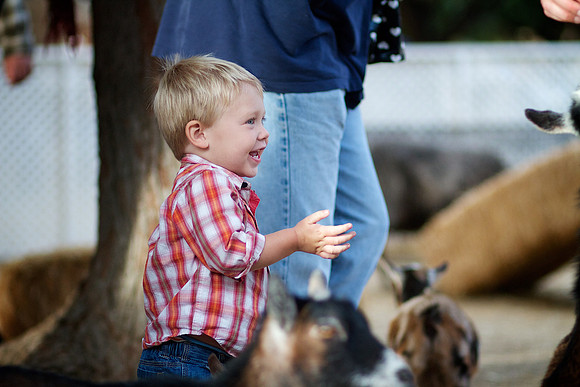 Levi 20 Month 004