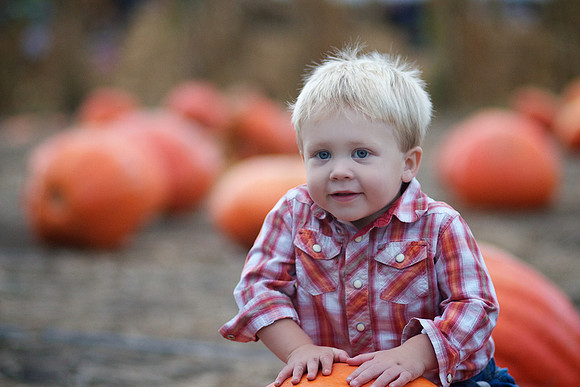 Levi 20 Month 027