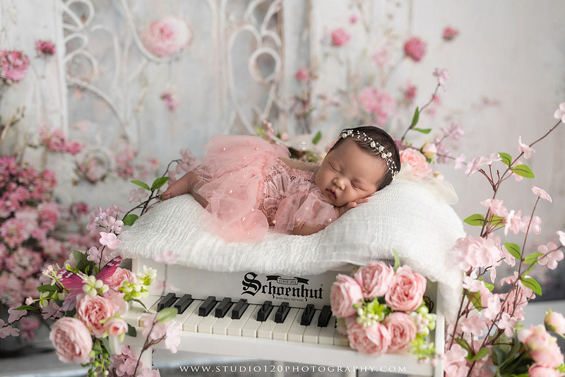 A Luxury Hermès Inspired Newborn Session