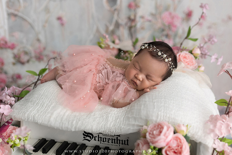 A Luxury Hermès Inspired Newborn Session