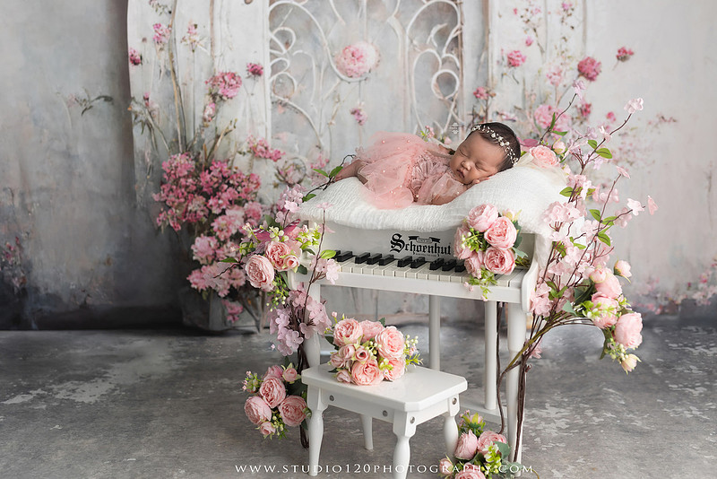 A Luxury Hermès Inspired Newborn Session