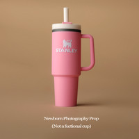 SOTP0021 2