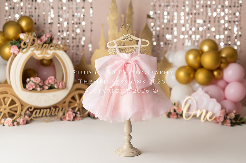 "cake smash photographer Ramona", "first birthday photographer", "princess cake smash", "luxe cake smash", "baby milestone photography", "San Diego cake smash photographer", "first birthday photos", "custom cake smash set", "baby portrait session", "princess birthday photos", "one year old photos", "client closet outfits", "first birthday celebration"