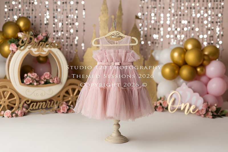 "cake smash photographer Ramona", "first birthday photographer", "princess cake smash", "luxe cake smash", "baby milestone photography", "San Diego cake smash photographer", "first birthday photos", "custom cake smash set", "baby portrait session", "princess birthday photos", "one year old photos", "client closet outfits", "first birthday celebration"