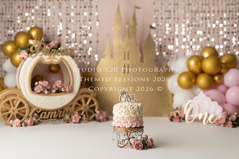 "cake smash photographer Ramona", "first birthday photographer", "princess cake smash", "luxe cake smash", "baby milestone photography", "San Diego cake smash photographer", "first birthday photos", "custom cake smash set", "baby portrait session", "princess birthday photos", "one year old photos", "client closet outfits", "first birthday celebration"