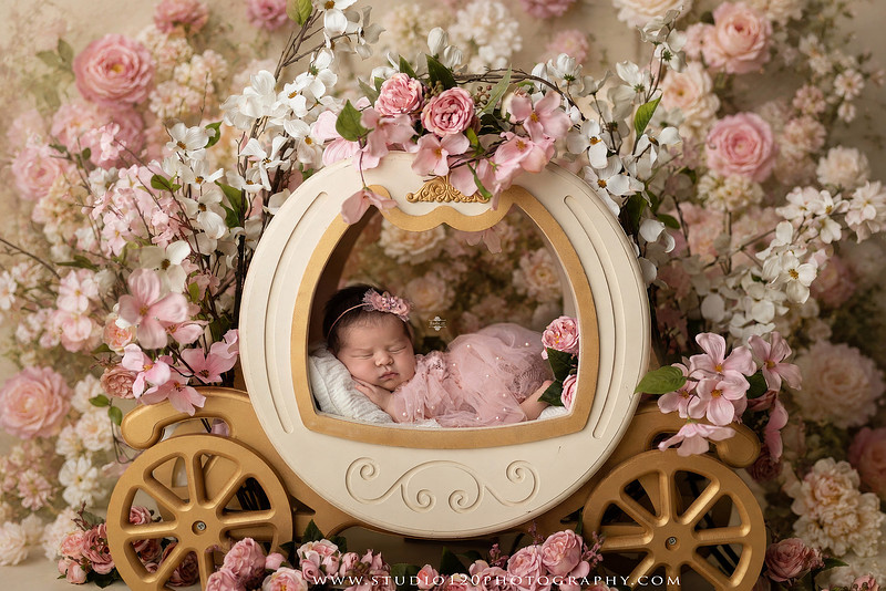 "Ramona newborn photographer", "San Diego newborn photographer", "baby girl newborn photography", "luxury newborn photography", "newborn photography Ramona CA", "princess newborn session", "floral newborn photography", "newborn baby girl portraits", "custom newborn photography", "newborn studio photography", "newborn photographer near me", "baby photographer Ramona", "newborn portraits San Diego", "newborn photo session", "posed newborn photography", "professional newborn photographer", "baby girl photography", "newborn floral setup", "Studio 120 Photography", "newborn photography San Diego County"