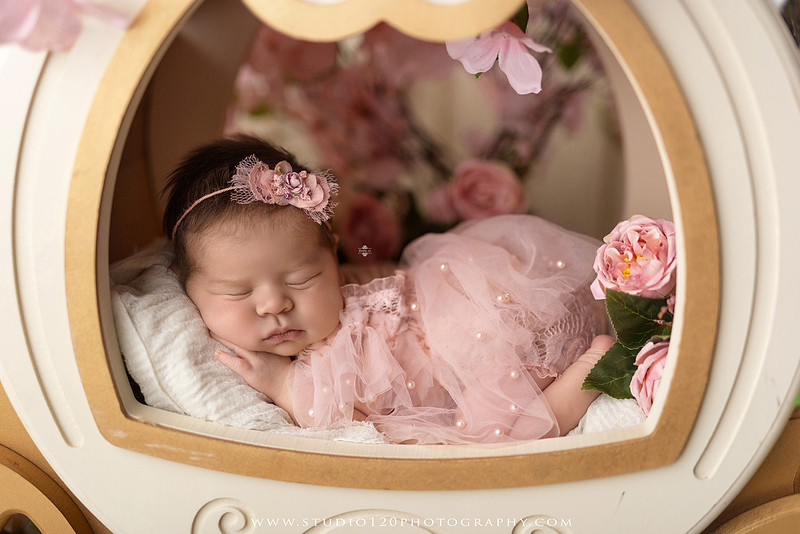 "Ramona newborn photographer", "San Diego newborn photographer", "baby girl newborn photography", "luxury newborn photography", "newborn photography Ramona CA", "princess newborn session", "floral newborn photography", "newborn baby girl portraits", "custom newborn photography", "newborn studio photography", "newborn photographer near me", "baby photographer Ramona", "newborn portraits San Diego", "newborn photo session", "posed newborn photography", "professional newborn photographer", "baby girl photography", "newborn floral setup", "Studio 120 Photography", "newborn photography San Diego County"