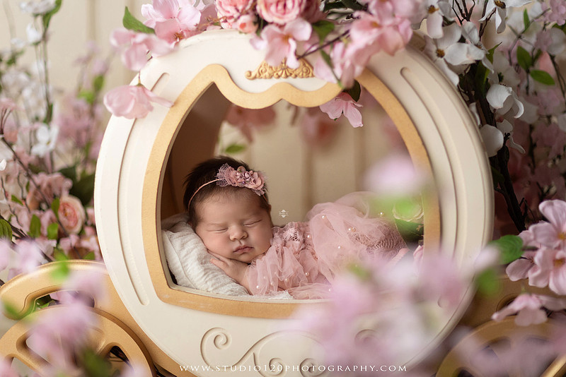 "Ramona newborn photographer", "San Diego newborn photographer", "baby girl newborn photography", "luxury newborn photography", "newborn photography Ramona CA", "princess newborn session", "floral newborn photography", "newborn baby girl portraits", "custom newborn photography", "newborn studio photography", "newborn photographer near me", "baby photographer Ramona", "newborn portraits San Diego", "newborn photo session", "posed newborn photography", "professional newborn photographer", "baby girl photography", "newborn floral setup", "Studio 120 Photography", "newborn photography San Diego County"