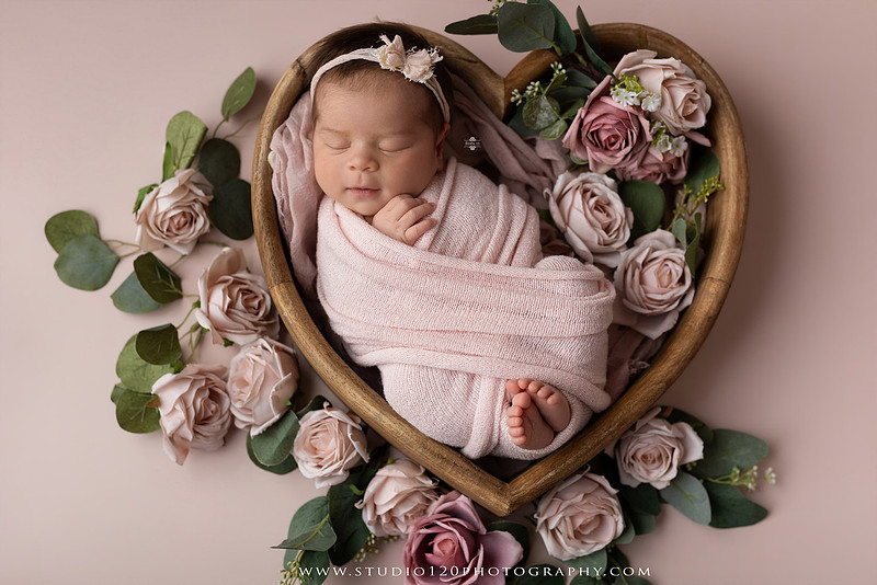"Ramona newborn photographer", "San Diego newborn photographer", "baby girl newborn photography", "luxury newborn photography", "newborn photography Ramona CA", "princess newborn session", "floral newborn photography", "newborn baby girl portraits", "custom newborn photography", "newborn studio photography", "newborn photographer near me", "baby photographer Ramona", "newborn portraits San Diego", "newborn photo session", "posed newborn photography", "professional newborn photographer", "baby girl photography", "newborn floral setup", "Studio 120 Photography", "newborn photography San Diego County"