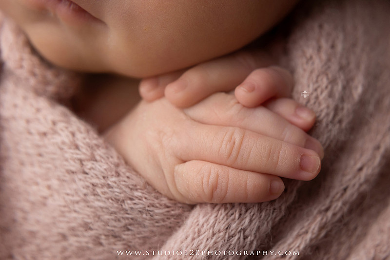 "Ramona newborn photographer", "San Diego newborn photographer", "baby girl newborn photography", "luxury newborn photography", "newborn photography Ramona CA", "princess newborn session", "floral newborn photography", "newborn baby girl portraits", "custom newborn photography", "newborn studio photography", "newborn photographer near me", "baby photographer Ramona", "newborn portraits San Diego", "newborn photo session", "posed newborn photography", "professional newborn photographer", "baby girl photography", "newborn floral setup", "Studio 120 Photography", "newborn photography San Diego County"