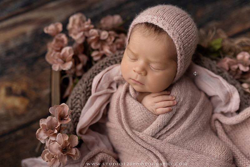 "Ramona newborn photographer", "San Diego newborn photographer", "baby girl newborn photography", "luxury newborn photography", "newborn photography Ramona CA", "princess newborn session", "floral newborn photography", "newborn baby girl portraits", "custom newborn photography", "newborn studio photography", "newborn photographer near me", "baby photographer Ramona", "newborn portraits San Diego", "newborn photo session", "posed newborn photography", "professional newborn photographer", "baby girl photography", "newborn floral setup", "Studio 120 Photography", "newborn photography San Diego County"