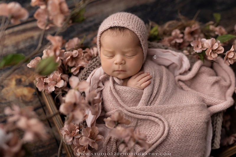 "Ramona newborn photographer", "San Diego newborn photographer", "baby girl newborn photography", "luxury newborn photography", "newborn photography Ramona CA", "princess newborn session", "floral newborn photography", "newborn baby girl portraits", "custom newborn photography", "newborn studio photography", "newborn photographer near me", "baby photographer Ramona", "newborn portraits San Diego", "newborn photo session", "posed newborn photography", "professional newborn photographer", "baby girl photography", "newborn floral setup", "Studio 120 Photography", "newborn photography San Diego County"